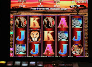 大小单双导师带赚包赔电脑免费版