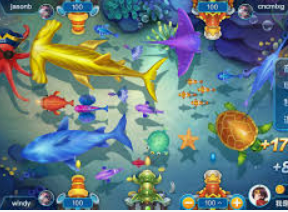 大小单双导师带赚包赔免费版