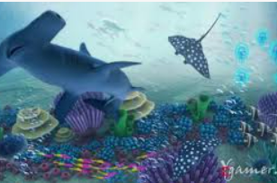 大小单双导师带赚包赔电脑免费版